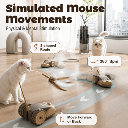 The Prowler — Plays While You're Out