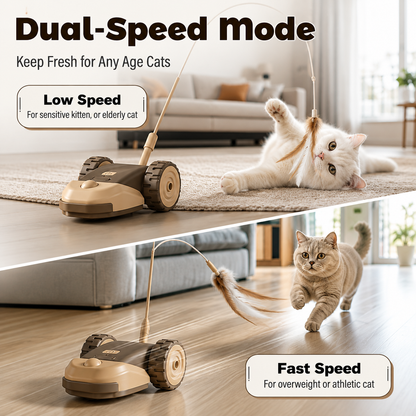 The Prowler — Plays While You're Out